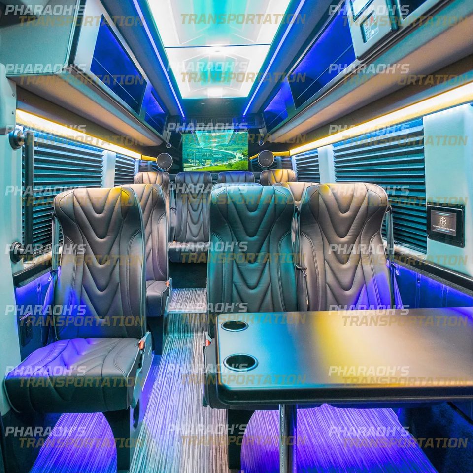 Executive Sprinter interior LED cabin, Milwaukee